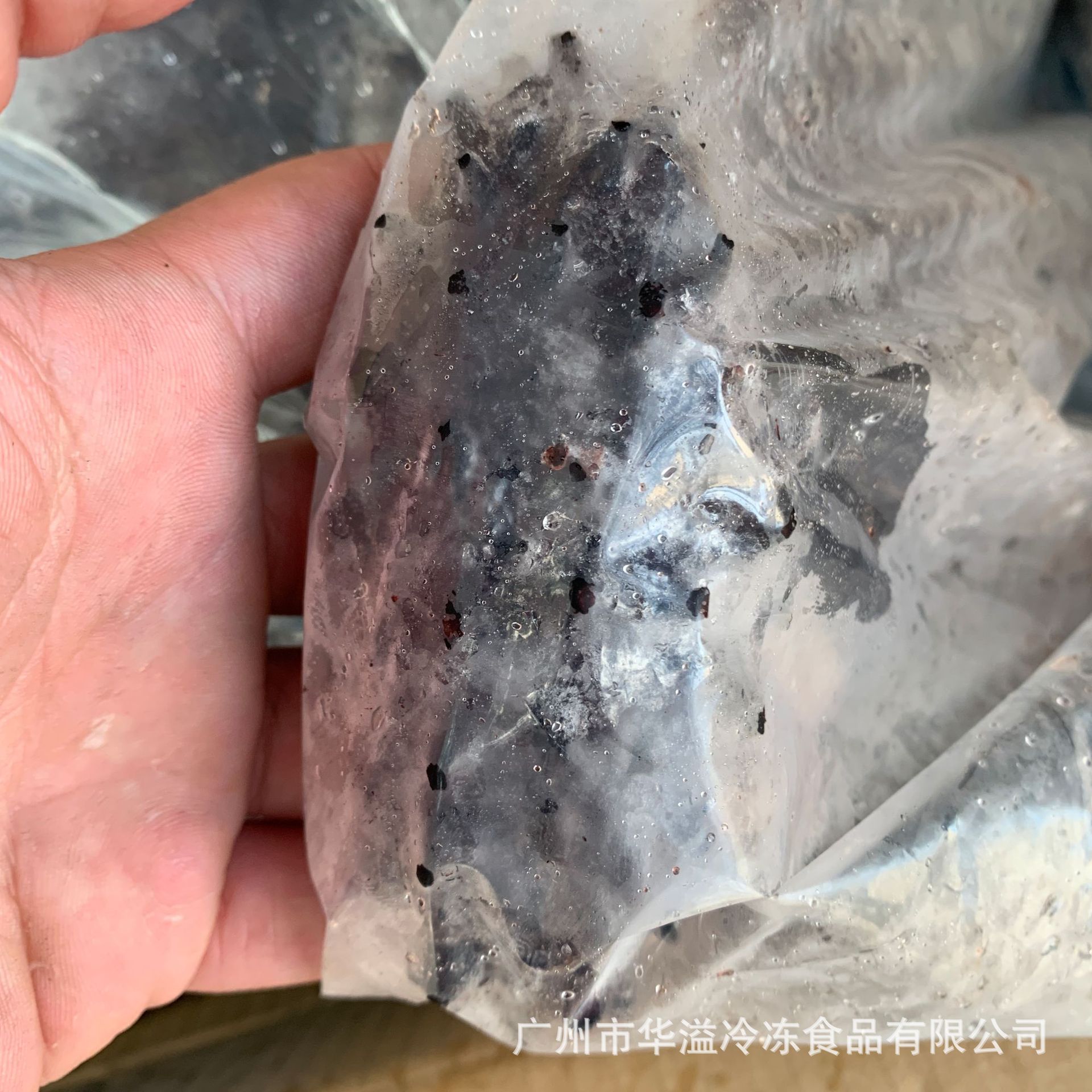 冷冻素海参 素食斋菜 24斤/件 火锅自助餐半成品食材素海参