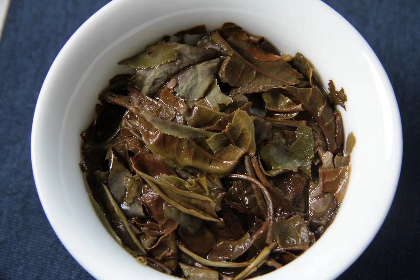 批发茶叶云南古树白茶月光白美人茶 小砖茶 清甜花果香高香高山茶