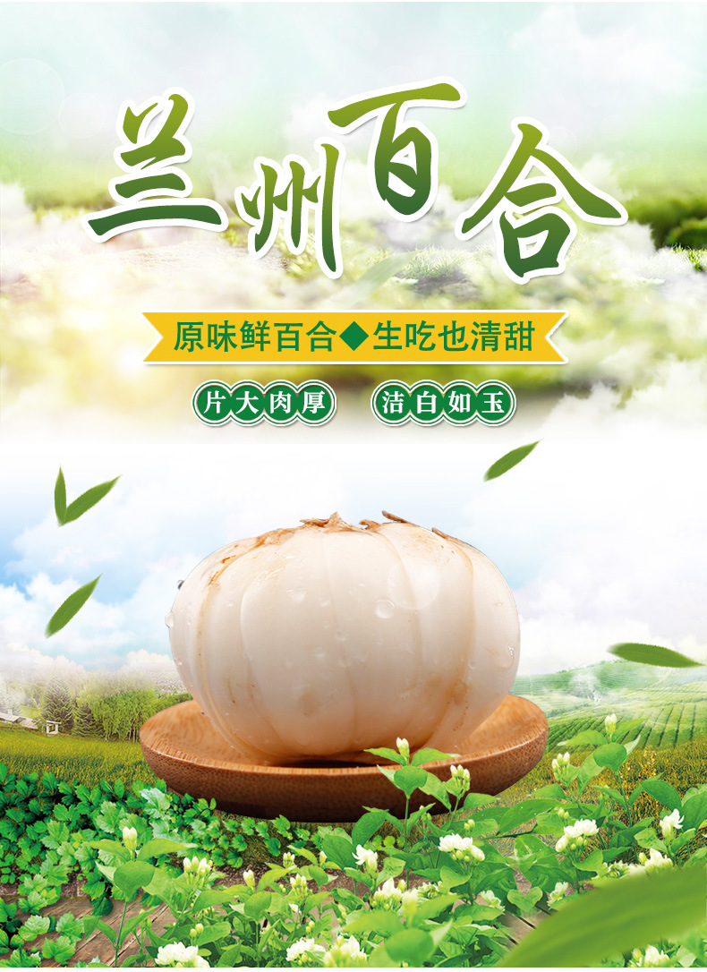 云利源小三头皇3袋一斤共9颗 鲜百合兰州新鲜甜百合食用真空包装