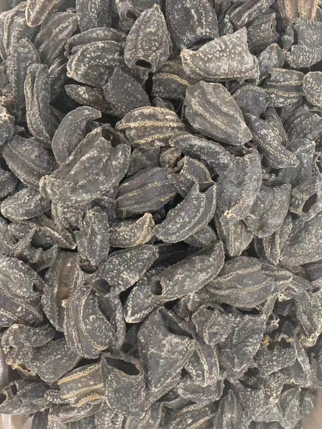 工厂直供海参皮批发 加拿大冰岛红极参俄罗斯海参皮淡干海参500g