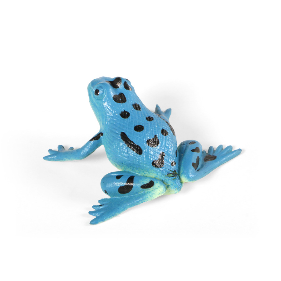 儿童迷你仿真实心12只装青蛙模型 野生动物搪胶两栖动物摆件玩具