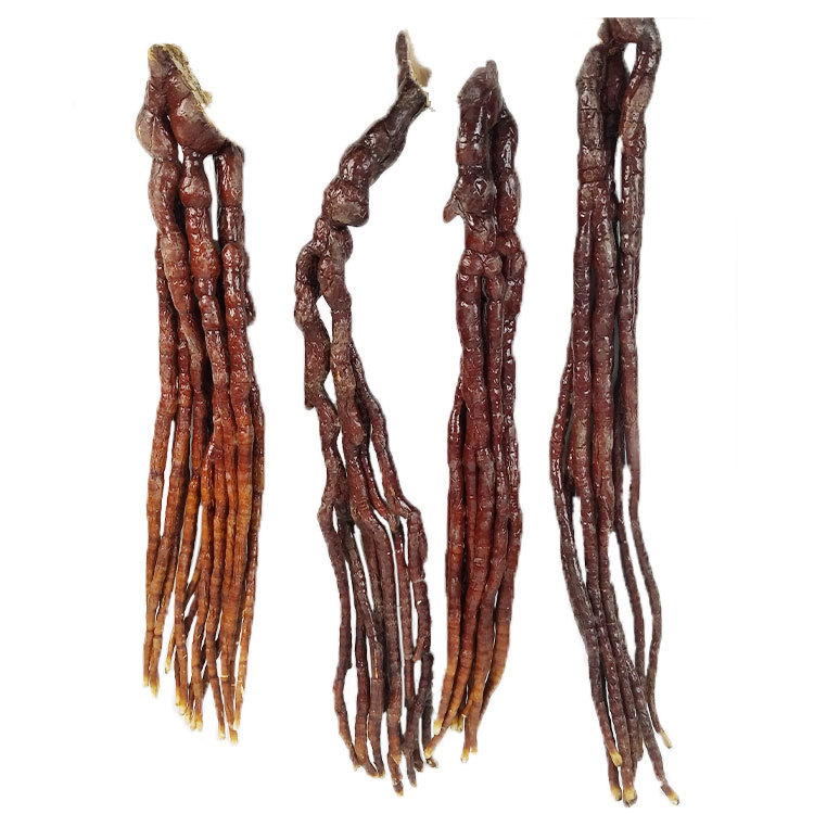 东北长白山 新品整枝佛手灵芝草林芝鹿角500g滋补泡酒煲汤泡茶