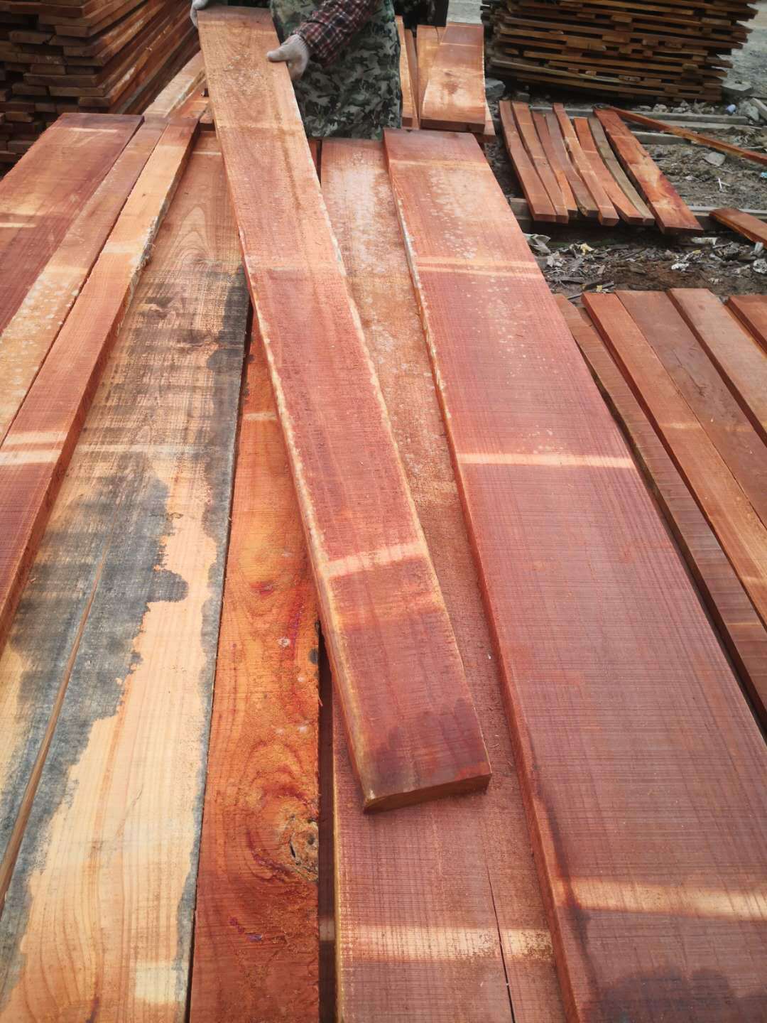 椿木收购加工河南香椿木烘干板材来样定制红椿木拼板实木家具板材