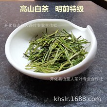 2024新茶浙江绿茶开化白茶明前茶高山茶鲜爽回甘产地批发