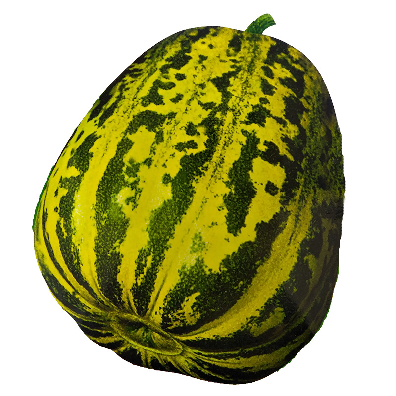 超甜八里香甜瓜种子花纹甜瓜种子蔬菜水果阳台种植庭院田园春秋季