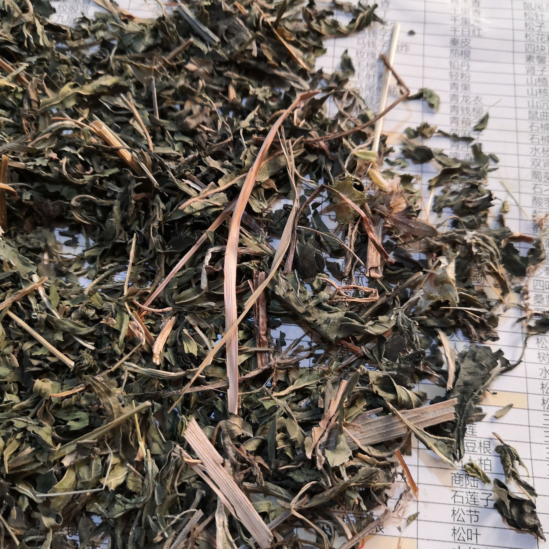 批发荨麻 红活麻 中药材 荨麻 荨麻草 荨麻叶 实物拍摄