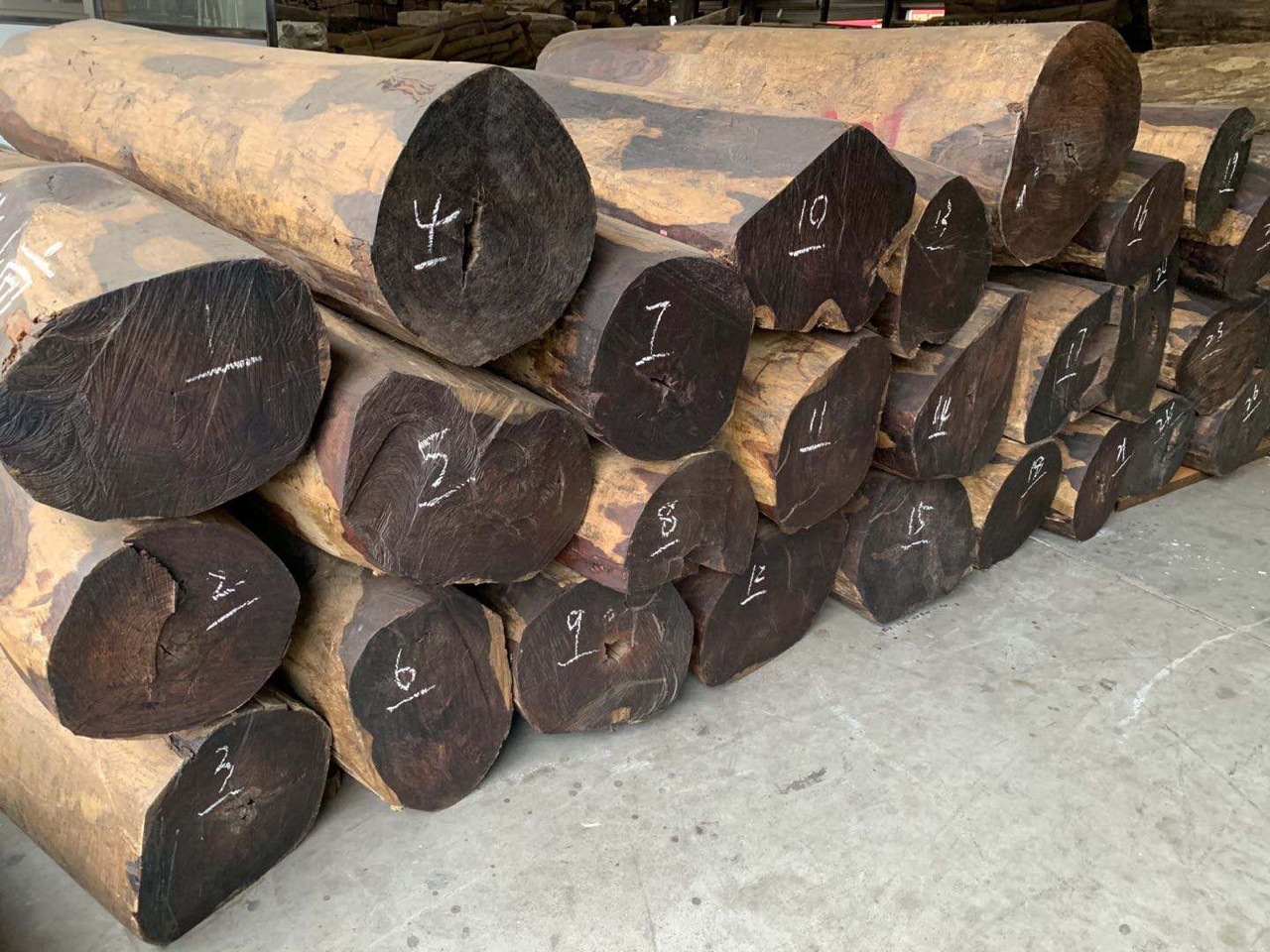 墨西哥微凹黄檀木 微凹黄檀原木木材 微凹黄檀木料