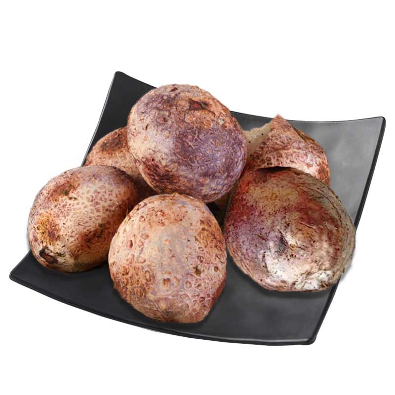 冰鲜竹荪云南红托竹笙竹蛋 新鲜采摘酒店餐饮批发竹荪蛋冻品