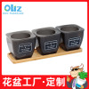 Manufactor wholesale Amazon new pattern Independent packing T04 Pots Set Watering flowerpot Succulent Manufactor wholesale Amazon new pattern Independent packing T04 Pots Set Watering flowerpot Succulent