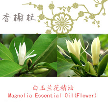 白兰花/ 白玉兰花精油 Magnolia Flower镁白 芳疗级单方精油5ML起