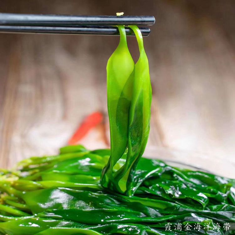 福建霞浦-中国海带之乡金海洋海带海带芽500克装海带嫩苗厂家直售