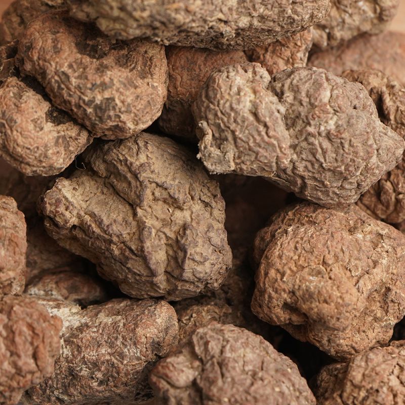 产地货源云南虎乳菌整个足干煲汤材料35头 20头 9头