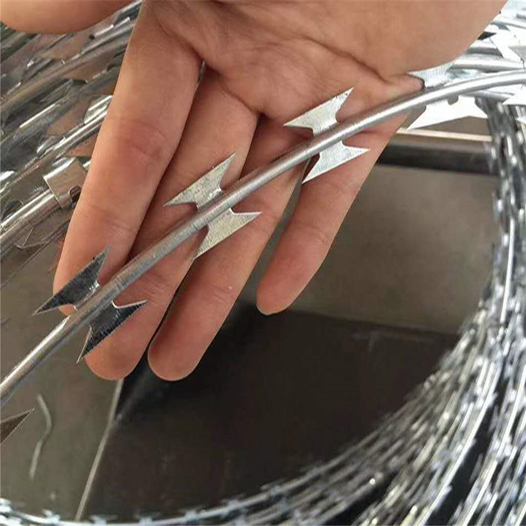 子申 供应刀片刺绳刺网 铁刺丝铁蒺藜 机场监狱蛇腹型304刀片刺绳