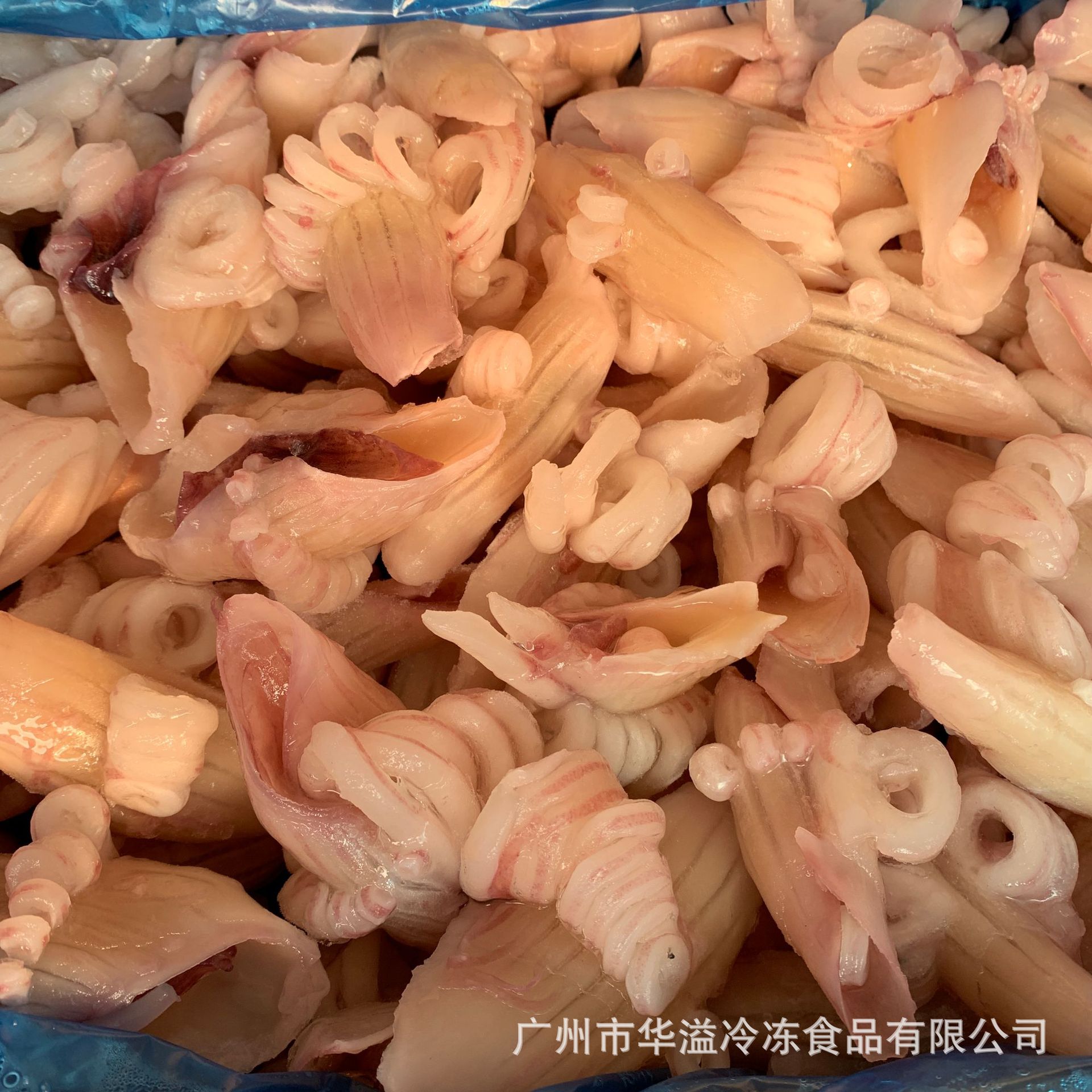 冷冻牛角花 鱿鱼角花 10斤/箱 广州批发鱿鱼花 牛角鱿鱼花