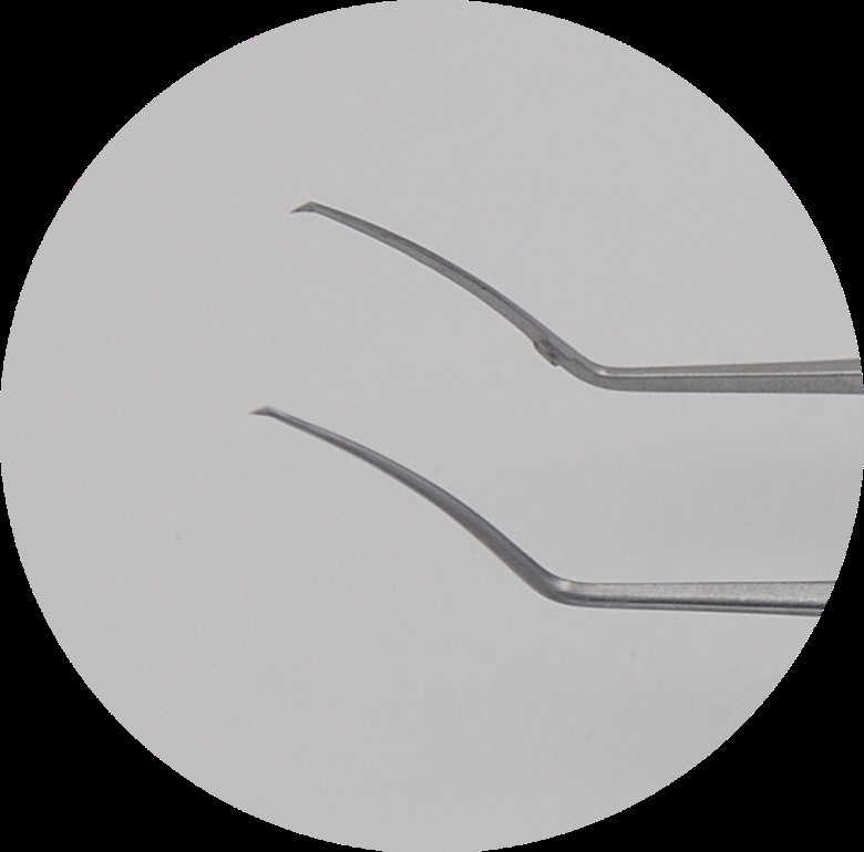 不锈钢撕囊镊,眼科显微手术器械.圆柄,微型多种可选