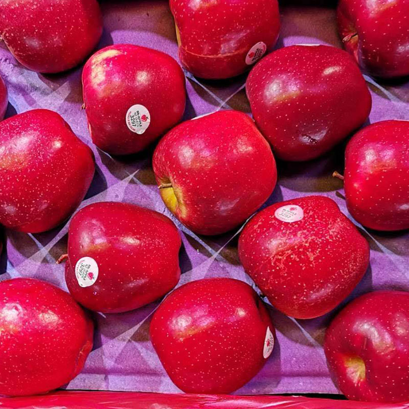 礼品装新西兰红玫瑰苹果批发 清甜可口新鲜苹果 家居超市零食水果