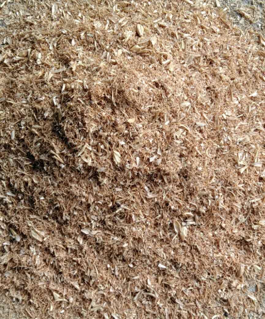 麦芽根蛋白28适合水产饲料中应用