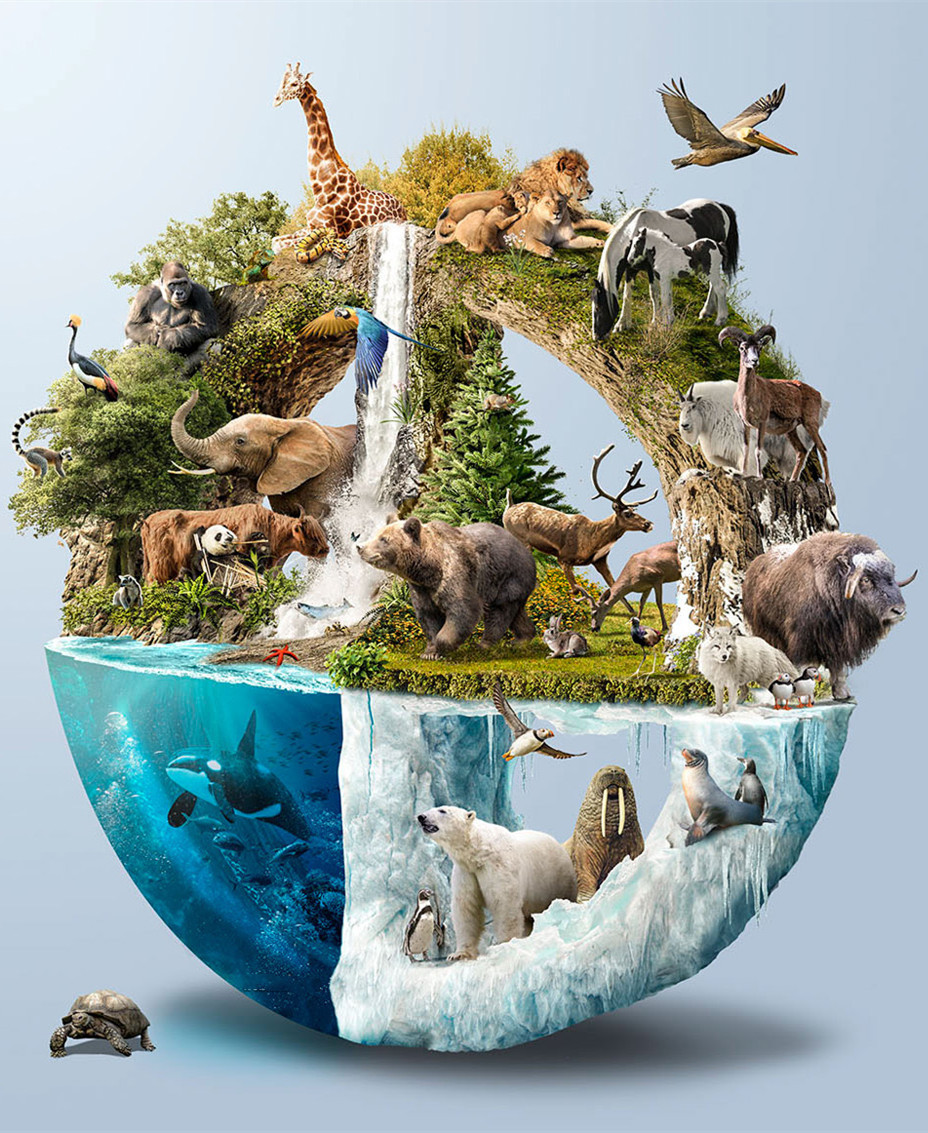 动物世界圆形地球北极熊鲸鱼大象牛钻石画