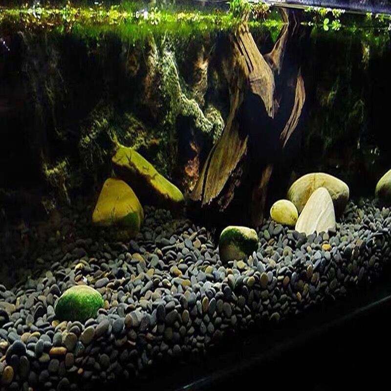 水族鱼缸造景装饰底砂 铁胆沙黑工沙熬虾专用沙黑胆沙黑工砂鱼缸