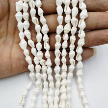 天然海螺贝壳珠子  白米螺小海螺  手工DIY制作手链项链饰品配件