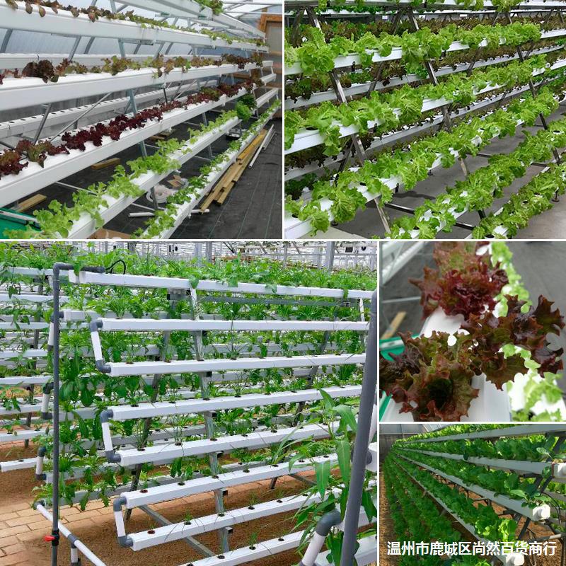 无土栽培设备植物工厂展示楼顶水培管道式瓜果叶菜蔬菜a型种植架