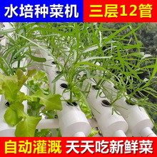 水耕水培蔬菜种植机无土栽培设备家用阳台室内pvc水管道种植花架