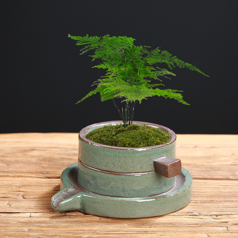 多肉素烧简约陶瓷花盆粗陶花盆家居园艺植物多肉盆栽哥窑器皿摆件