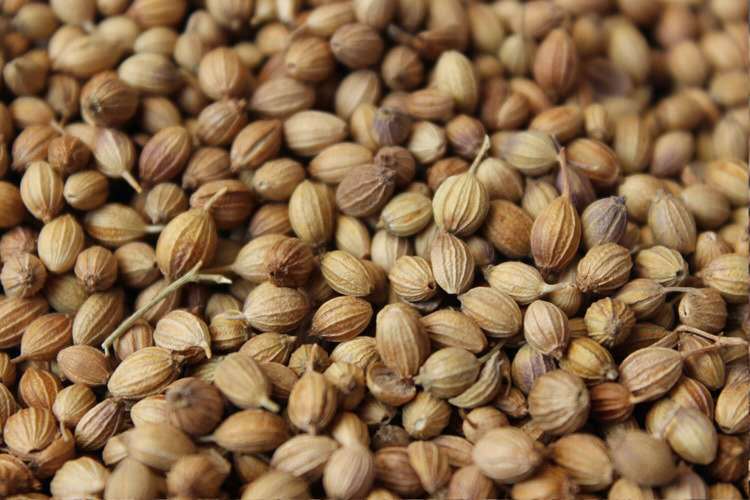 香菜籽 调味香料 原产地批发 香菜籽 芫荽籽 火锅卤料包原料