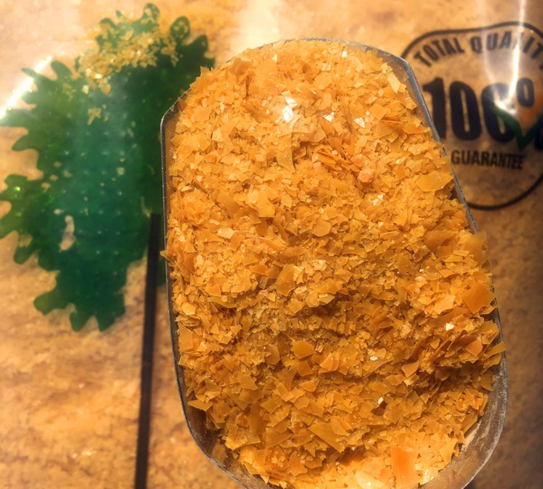 一棵树巴西棕榈蜡 棕榈蜡 量大优惠欢迎询单