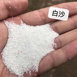 鱼缸花盆白沙石批发 微景观装饰景造雪地沙 微景观造景白沙石材料