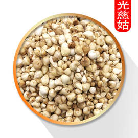 0成交33笔鄄城县光茨菇 源头产地中药材批发 大量新货 现货 量大优先