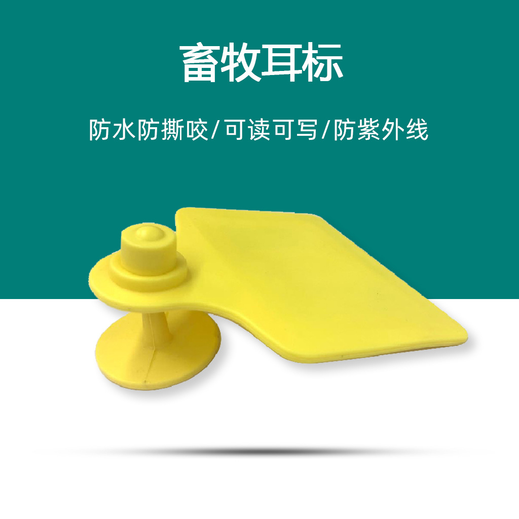 牛猪羊电子耳标id高频ic低频动物管理标签rfid溯源动物耳标标签