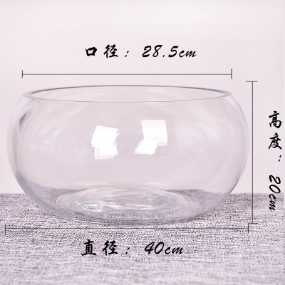 Generation Fish Tank Transparent Glass Office Living Room Creative Hydroponics Drum Cylinder round Turtle Jar Mini Desktop Fish Tank