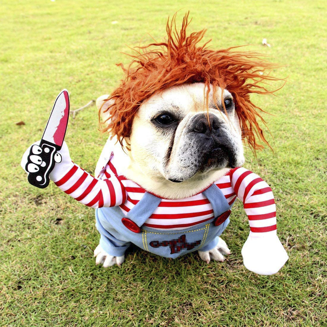 新款宠物衣服宠物变身装搞怪狗狗衣服杀人娃娃装扮服宠物西装礼服