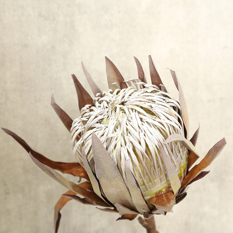 仿真干枯帝王花家居创意装饰客厅餐桌花束干花艺卧室客厅装摆假花