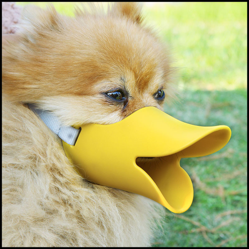 宠物用品狗狗嘴套口罩防乱吃防叫防咬宠物狗嘴套大中小型鸭嘴防吠