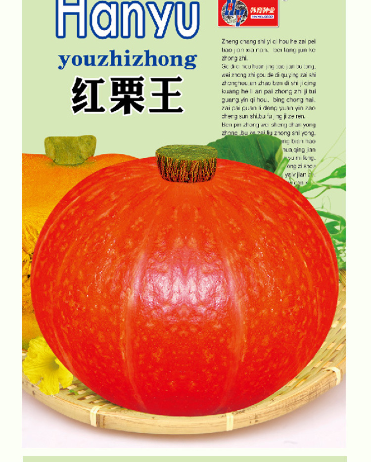 红栗王南瓜种子 农田菜地丰产早熟耐贮广适南瓜籽口感香甜易种植