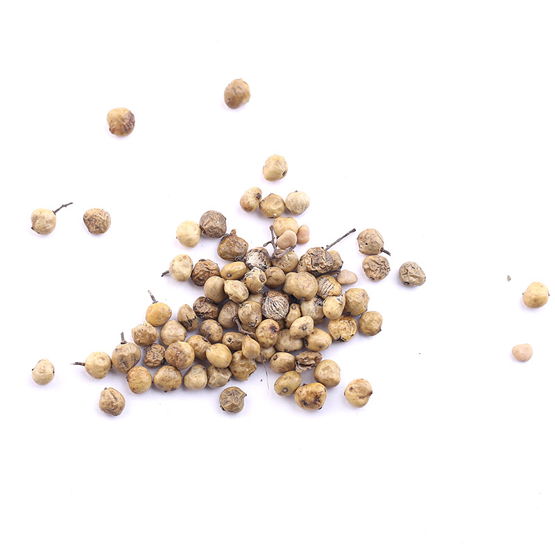 漆树种子 油漆树种子 山漆 割漆树 绿化行道林木苗木树种子