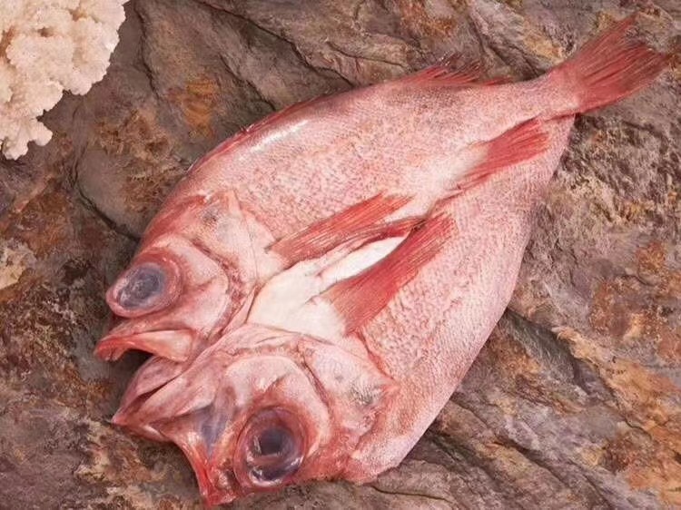 批发供应挪威冰岛开背红鱼红石斑鱼餐饮生鲜酒店食材