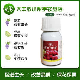 国光 道领 噻苯隆葡萄调节生长促果实生长保花保果植物生长调节剂