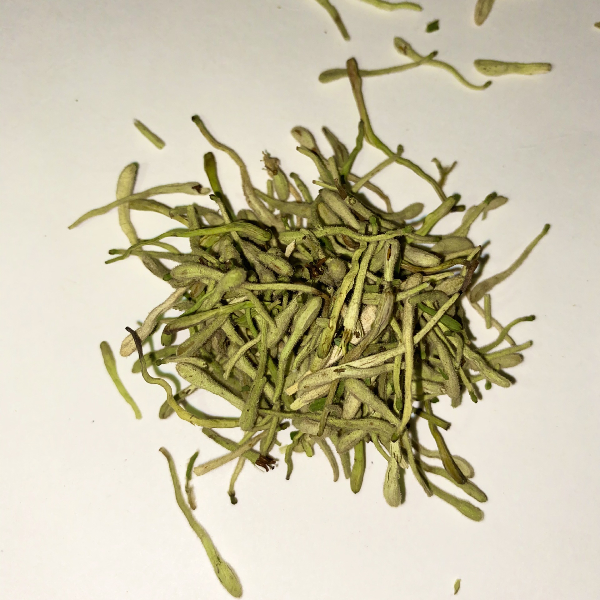 批发散装金银花茶干 泡水茶叶 金银花 量大从优