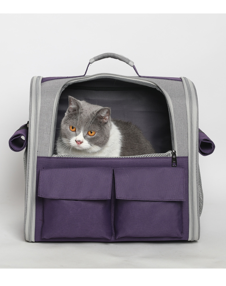 猫包外出便携宠物包透气猫咪书包外出旅行折叠双肩猫背包宠物用品