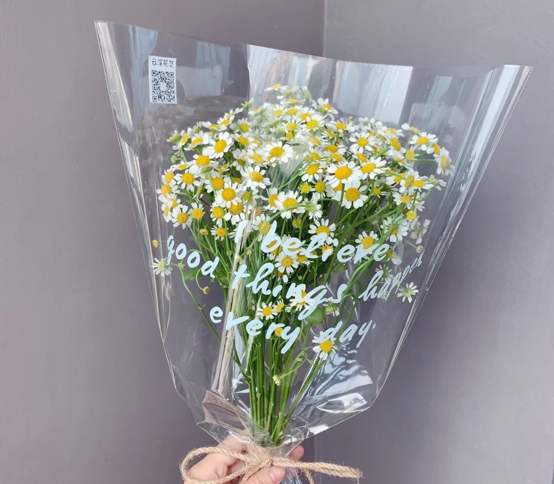 洋甘菊鲜花云南基地直发家庭插花办公室瓶插花期长可制干花包邮