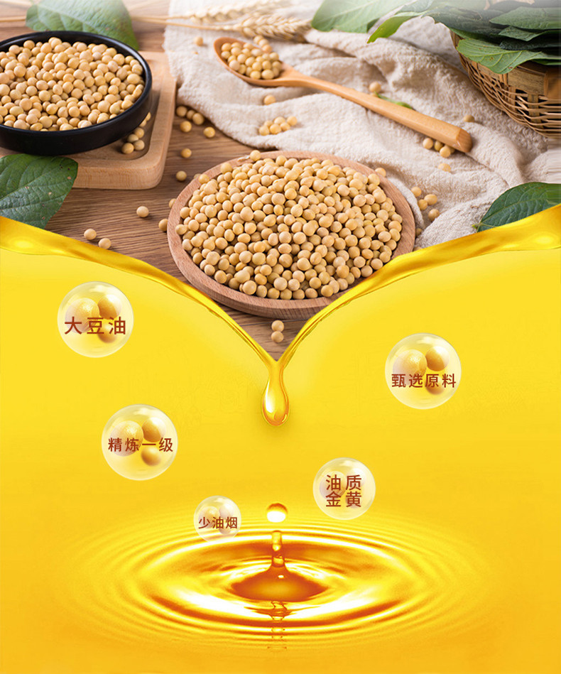 金龙鱼 精炼一级大豆油5l食用油色拉油烘焙餐饮专用批发