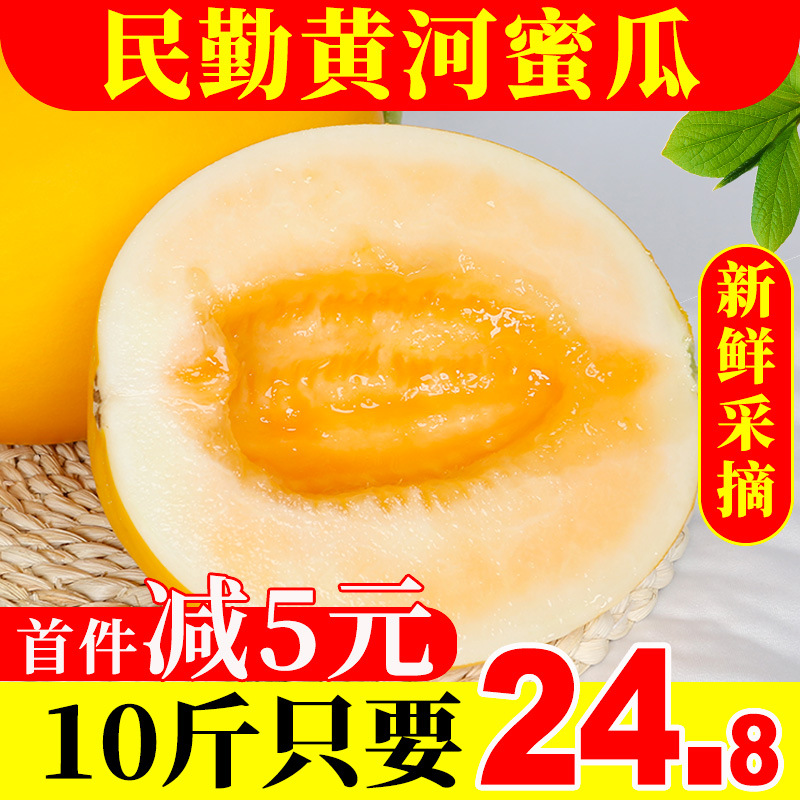 甘肃民勤蜜瓜沙漠黄金黄河蜜瓜金红宝甜瓜10斤新鲜哈蜜瓜香瓜包邮