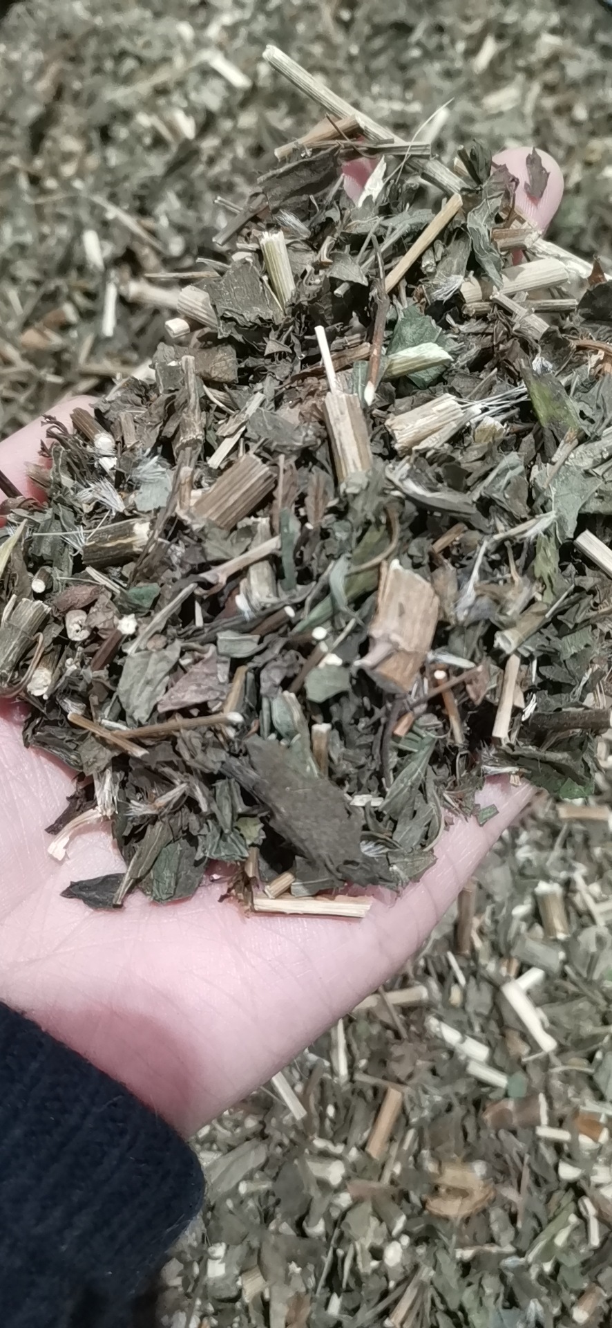 产地货源佩兰中药材佩兰切段一手货源实图拍摄承接订单代磨粉