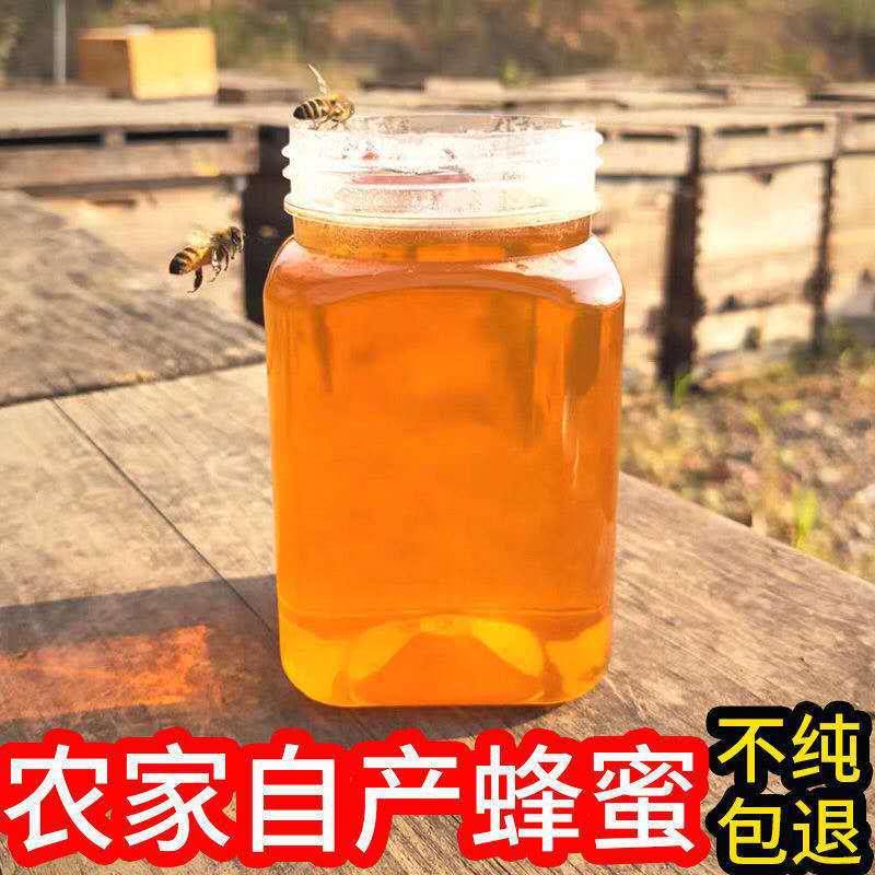 广西深山放养土蜂蜜瓶装蜂蜜500g一件代发