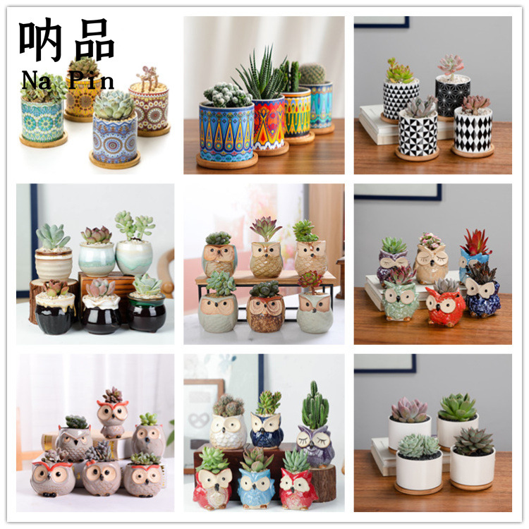 Suopin Foreign Trade Export Flower Pot Cross-Border E-Commerce Exclusive Nordic Flower Pot Cartoon Succulent Pot with Packaging Flower Pot