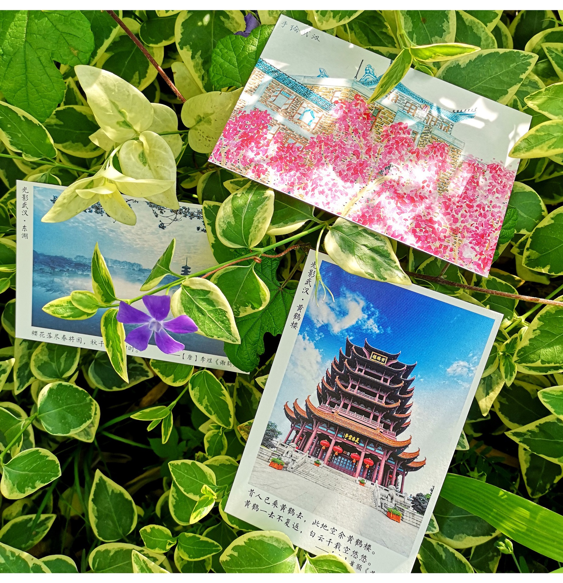 武汉手绘摄影明信片地图书签旅游纪念品出差城市风景本心如荷文创