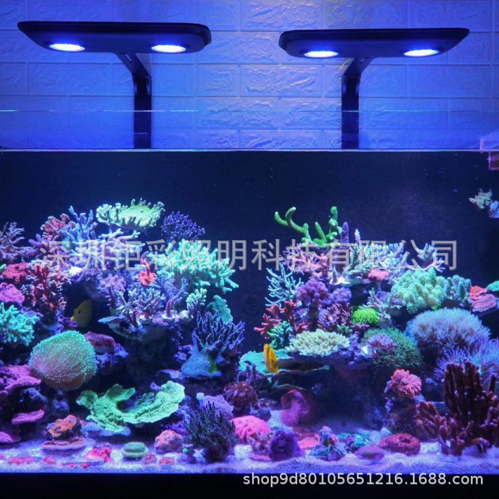 钜彩驭光者ar150全光谱led水族灯海水珊瑚鱼缸照明灯厂家直销